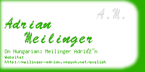 adrian meilinger business card